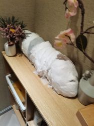-3U美甲美睫皮肤管理