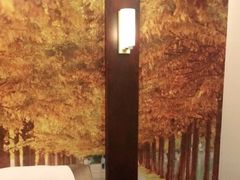 -手功王养生·足疗按摩·SPA·采耳(天府路店)
