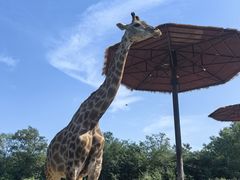 -济南野生动物世界