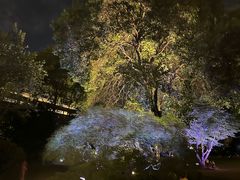 -上海兴国宾馆香樟园西餐厅