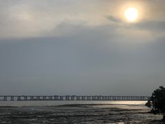 -宝安西湾红树林湿地公园