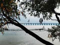 -宝安西湾红树林湿地公园