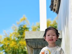 -观潮胜地公园