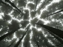-山王坪喀斯特国家生态公园