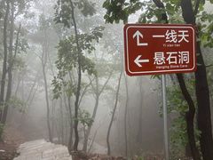 -六里坪国家森林公园
