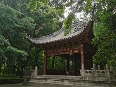 -汇龙潭