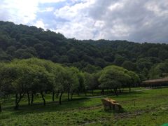 -大水川景区
