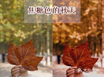 醒图调色教程|一秒教你调出焦糖色秋天