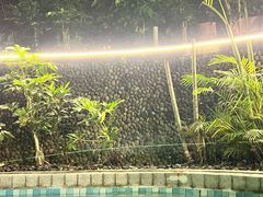 -台山颐和温泉城