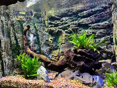 -上海海洋水族馆