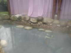 -咸宁万豪温泉谷度假区