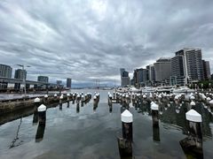 -墨尔本滨海港区