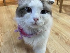 -白兔子密室(长寿路店)