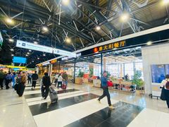 -谢列梅捷沃国际机场