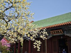 -珠海圆明新园
