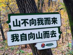 -吉林市朱雀山国家森林公园