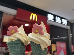 门面-麦当劳(磨子桥店)