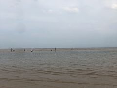 -刘家湾赶海园