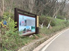 -南京市江宁方山