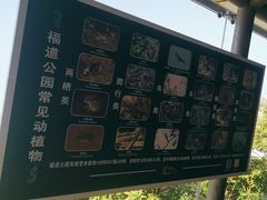 -福道