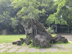 -海口火山口国家地质公园