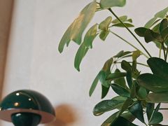 -gaga(北京新中关购物中心店)
