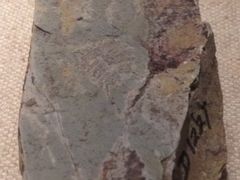 -二沙岛-广东华侨博物馆