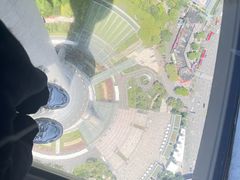 -东方明珠广播电视塔