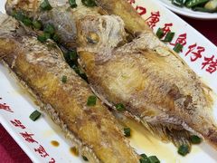 -蛇口康乐快餐鱼仔档(翠苑小区店)