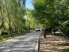 -广富林郊野公园