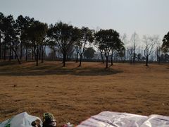 -长兴太湖图影湿地文化园