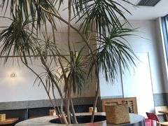 -村外有星光小食铺(长嘉汇店)