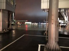 -谢列梅捷沃国际机场