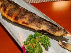 烤六线鱼干-乾山寿司(好运街店)