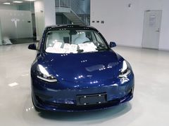 -TESLA 特斯拉(深圳观澜特斯拉直营钣喷中心)