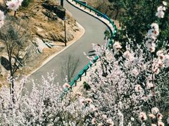 -白水寺森林公园