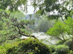 -上海醉白池公园