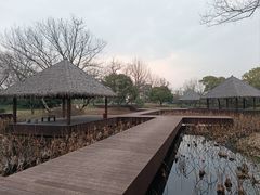 -西溪国家湿地公园