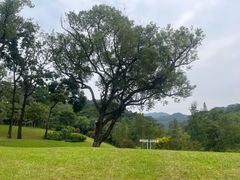 -云溪植物园