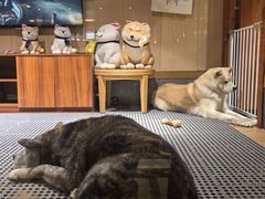 -大江户·温泉洗浴(浑南店)