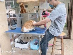 -瑞鹏宠物医院·夜间急症·心超·猫科(祖庙分店)
