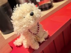 -寸屋拉面(凯德晶萃店)