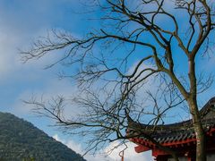 -句容茅山景区