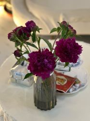 -奥丽维娅美容养生会所