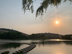 -上海佘山世茂艾美酒店