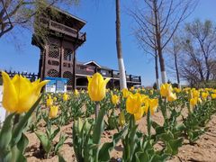 -永定河休闲森林公园