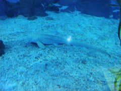 -多彩贵州城极地海洋世界