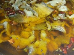 -雲蜀龙阁·金牌水煮鱼(方庄店)