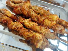 -民族烤羊·烤羊肉串·烤羊排(南城店)