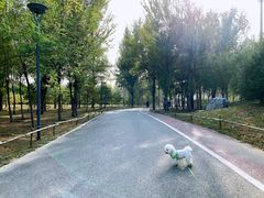 -马家湾湿地公园